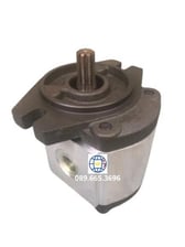 Bơm bánh răng Ronzio-Italy 02ZCG17S435S