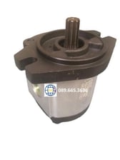 Bơm bánh răng Ronzio-Italy 02ZCG25S435S