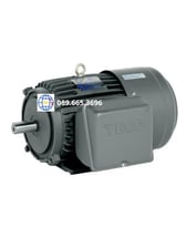 Động cơ điện Teco