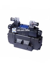 Van điện DHG-06-C6-A240-N