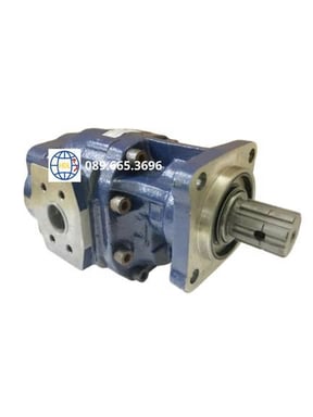 Bơm bánh răng 030WOI64H483XS2N