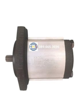 Bơm bánh răng Ronzio-Italy 02ZCG20S435S