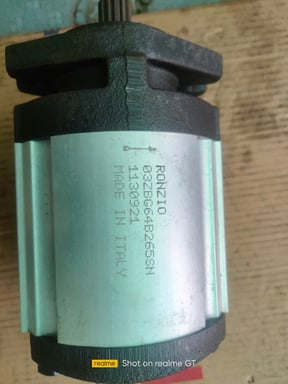 Bơm bánh răng Ronzio-Italy 03ZBG64B265SN