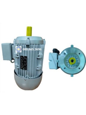 Động cơ điện 380V Hydro-Tek