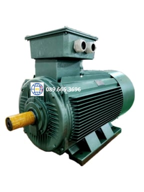 Động cơ điện Việt Hung