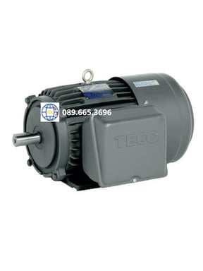 Động cơ điện Teco