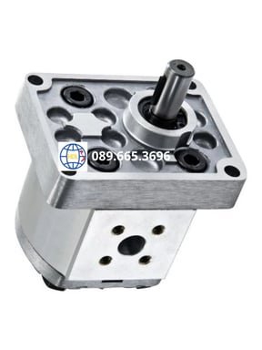 Bơm bánh răng CML EGA-6.2-R
